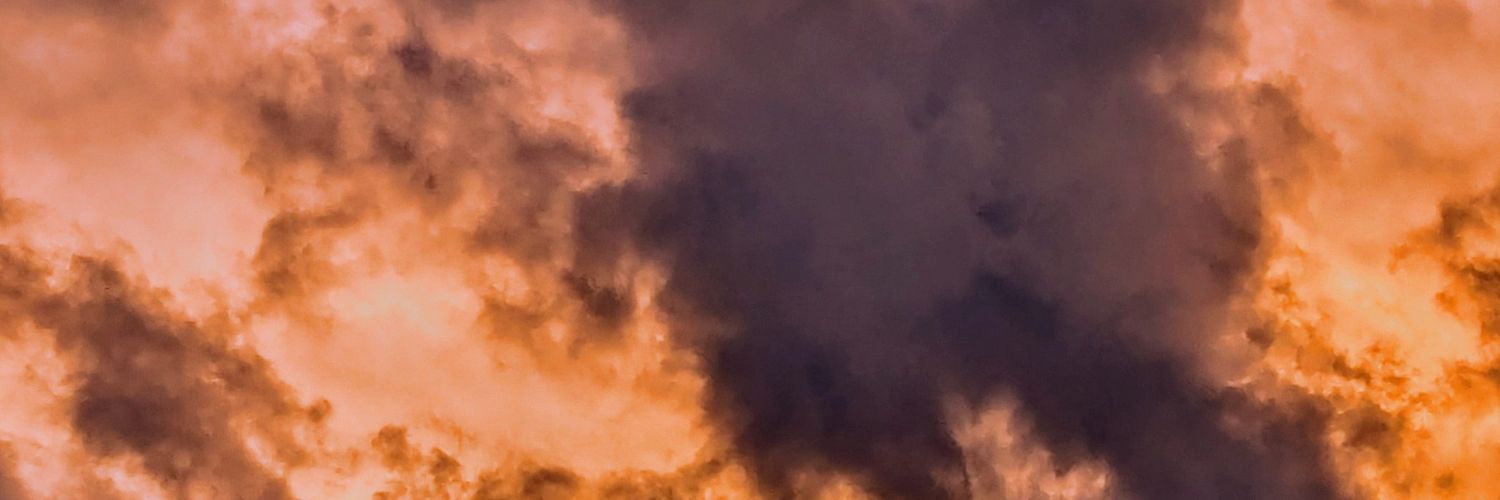 Christian Trier banner