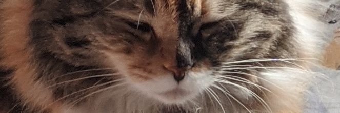 lukezain_'s profile banner image
