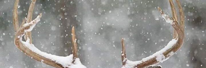 Cartoonkanda's profile banner image