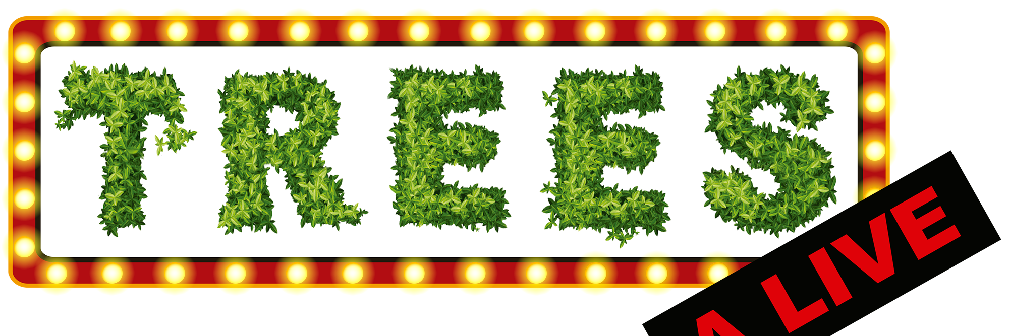 treesalive2's profile banner image