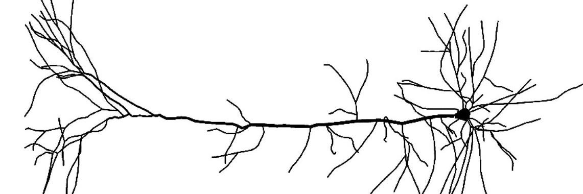 Patrick Mineault's banner