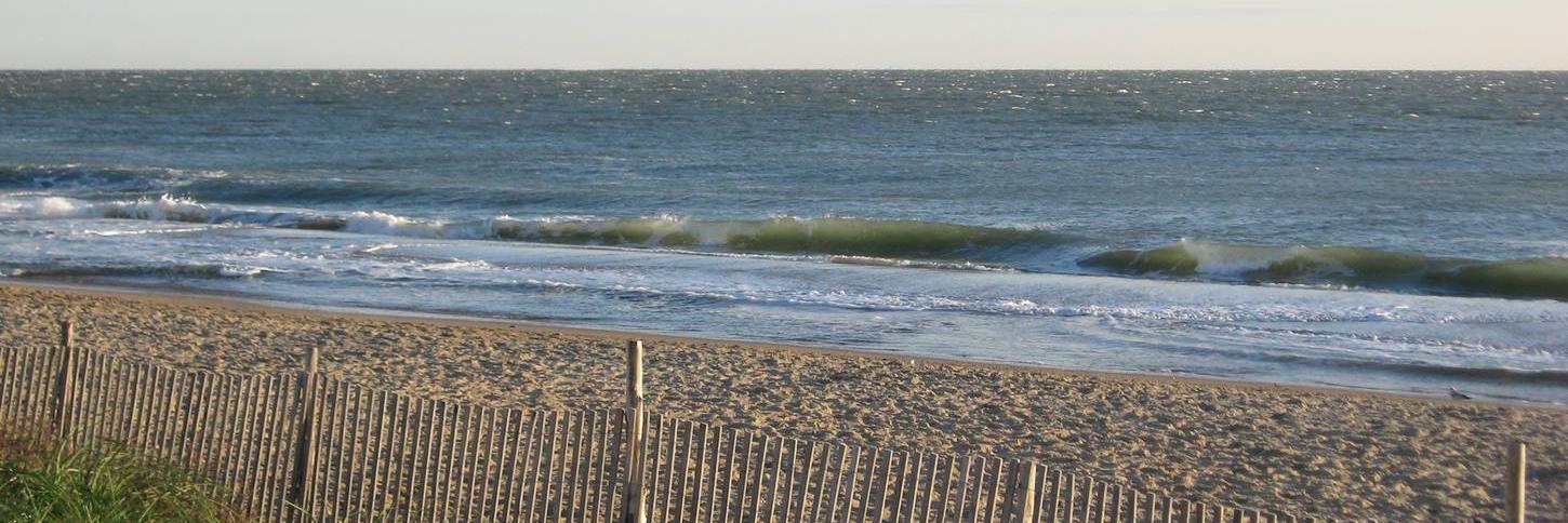 Melissa Tooley banner