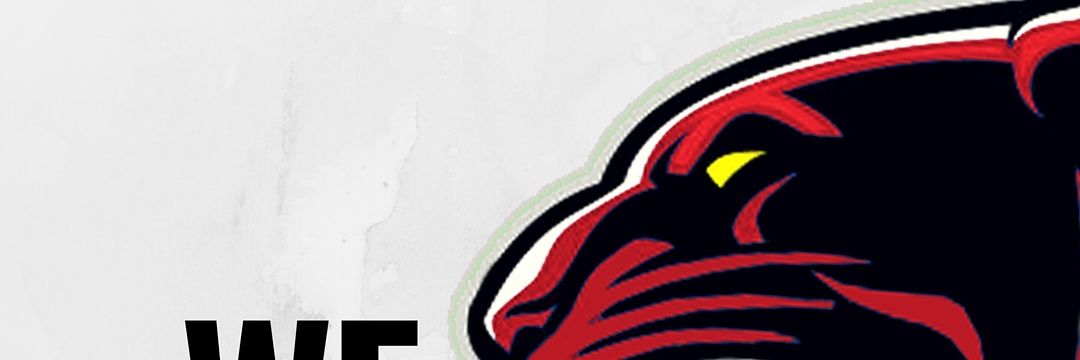 Panteras_fcg's profile banner image
