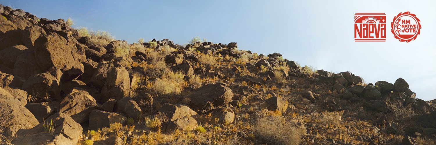 NM Native Vote banner