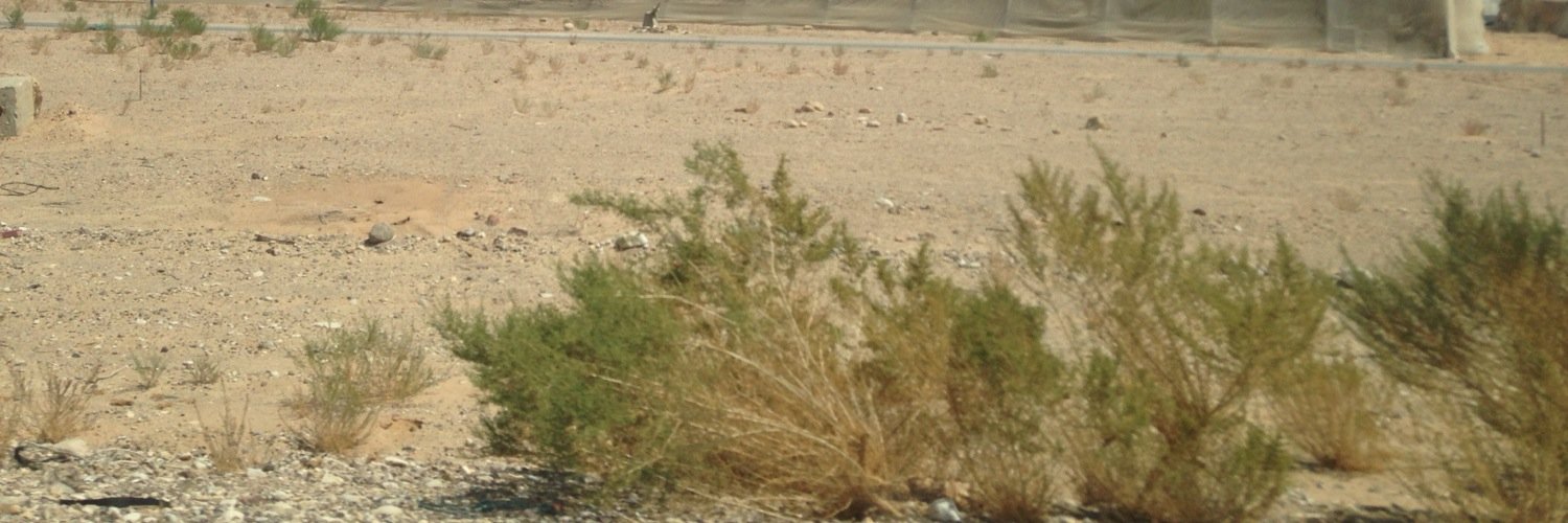 Biojorgemario's profile banner image
