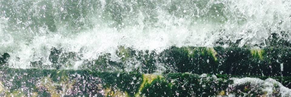 lynn_koos's profile banner image