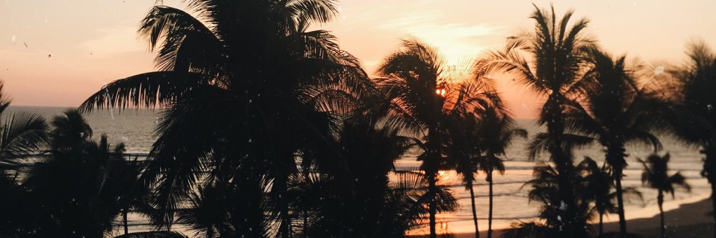 ximecase's profile banner image
