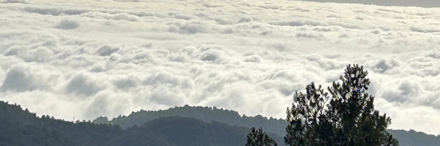 LmqtphpTermi's profile banner image