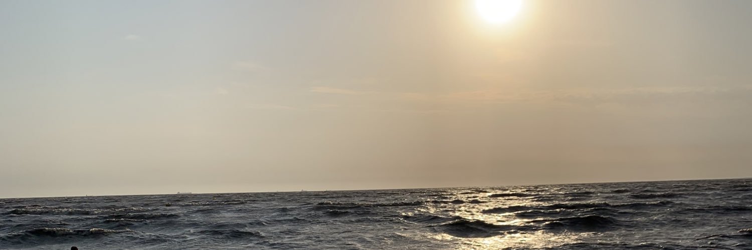 std241121's profile banner image