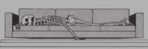 shayasher25's profile banner image
