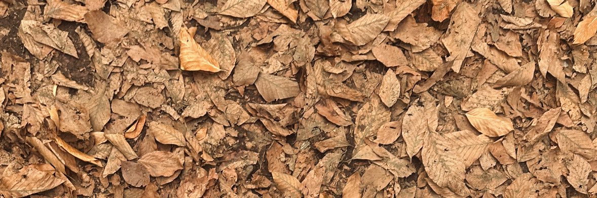 gozzdeeunal's profile banner image