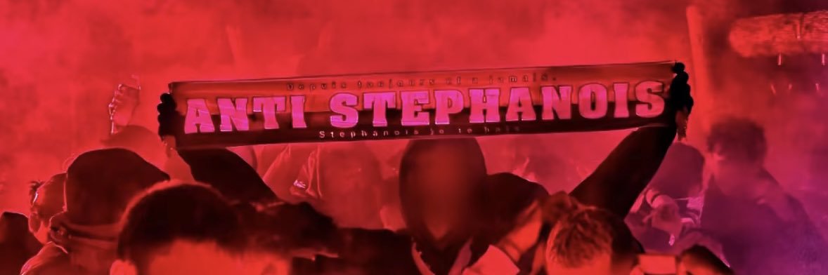 🇫🇷🦁 banner