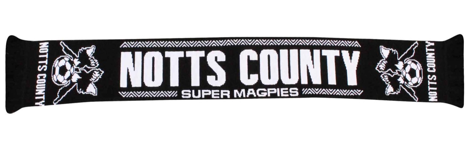 vote4holt's profile banner image