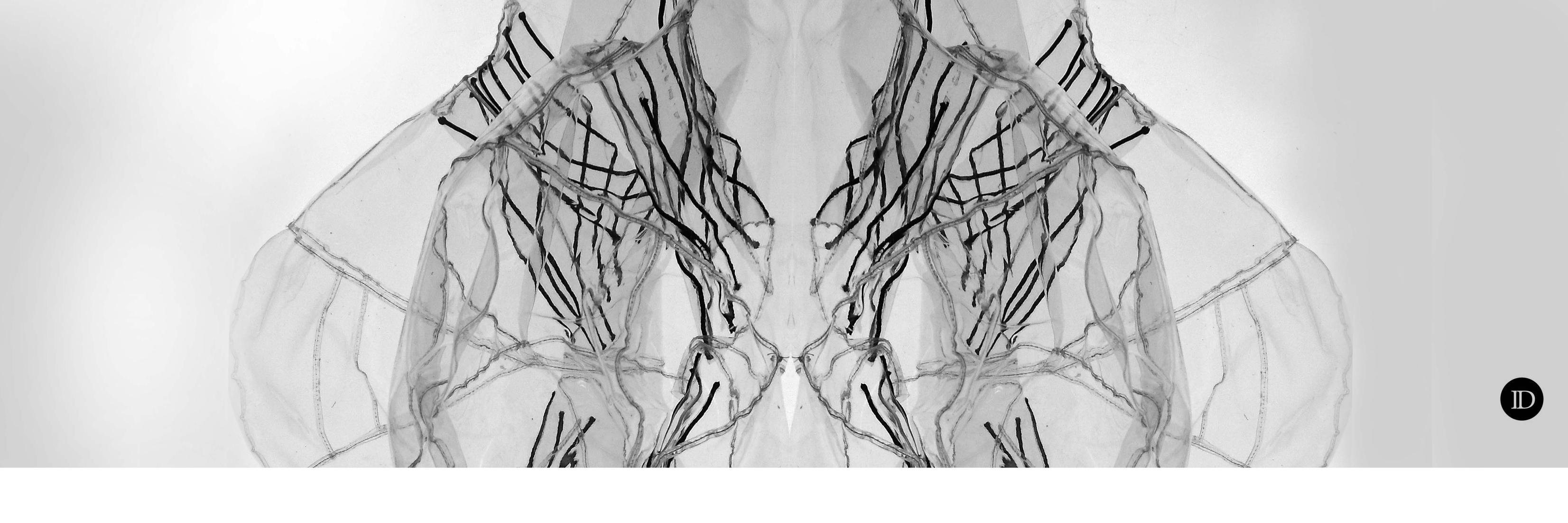 _IrinaD_'s profile banner image