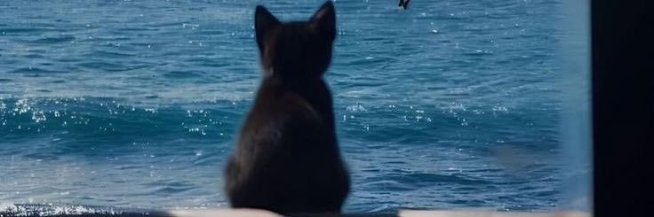 _ktjkn's profile banner image