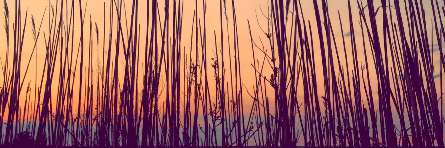 colhanley's profile banner image