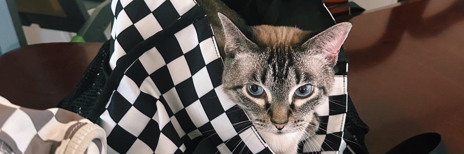 durvnjs's profile banner image