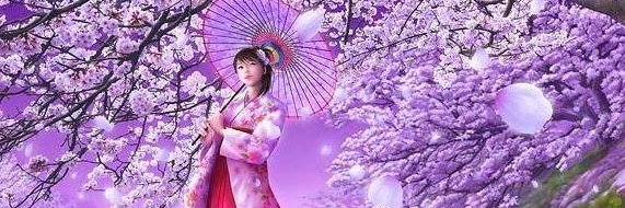 nikki551's profile banner image