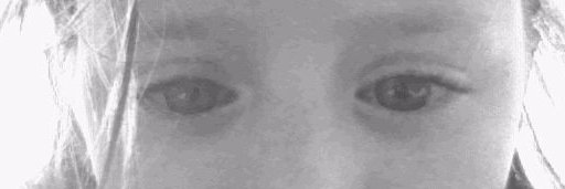 Dr Ali FitzGibbon fitzali.bsky.social banner