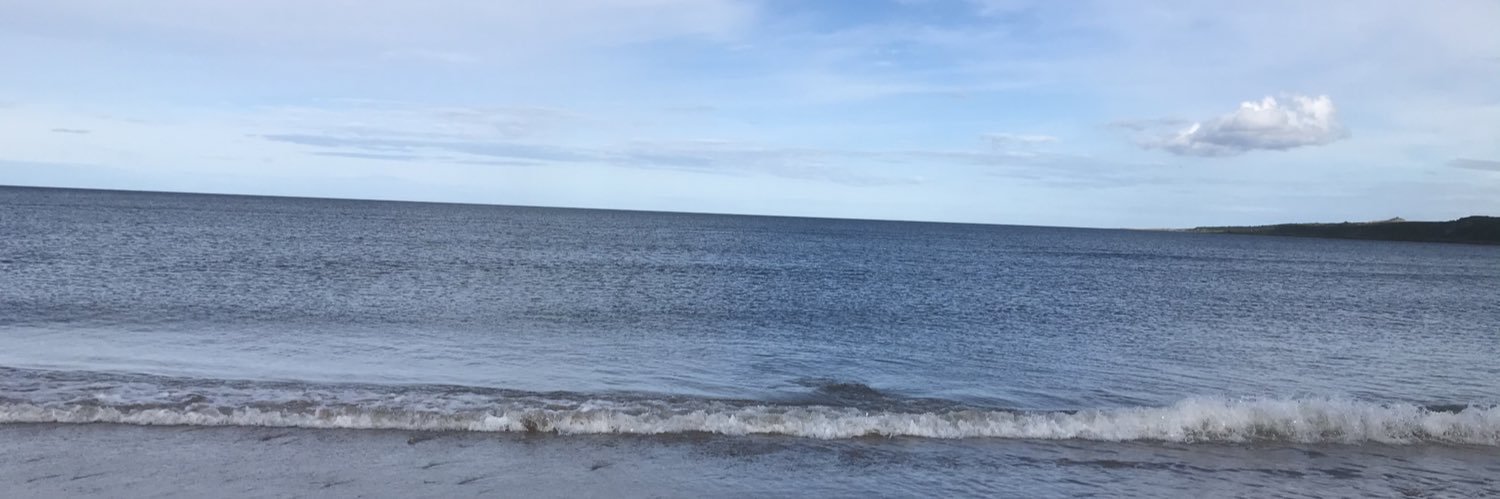chrisraneil's profile banner image