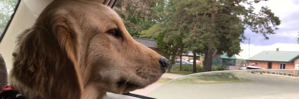 DmckeeRCS's profile banner image