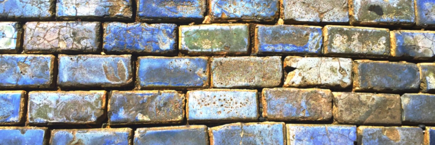 loloshapiro's profile banner image