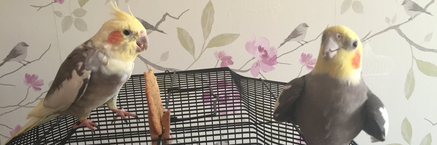 JMG752's profile banner image