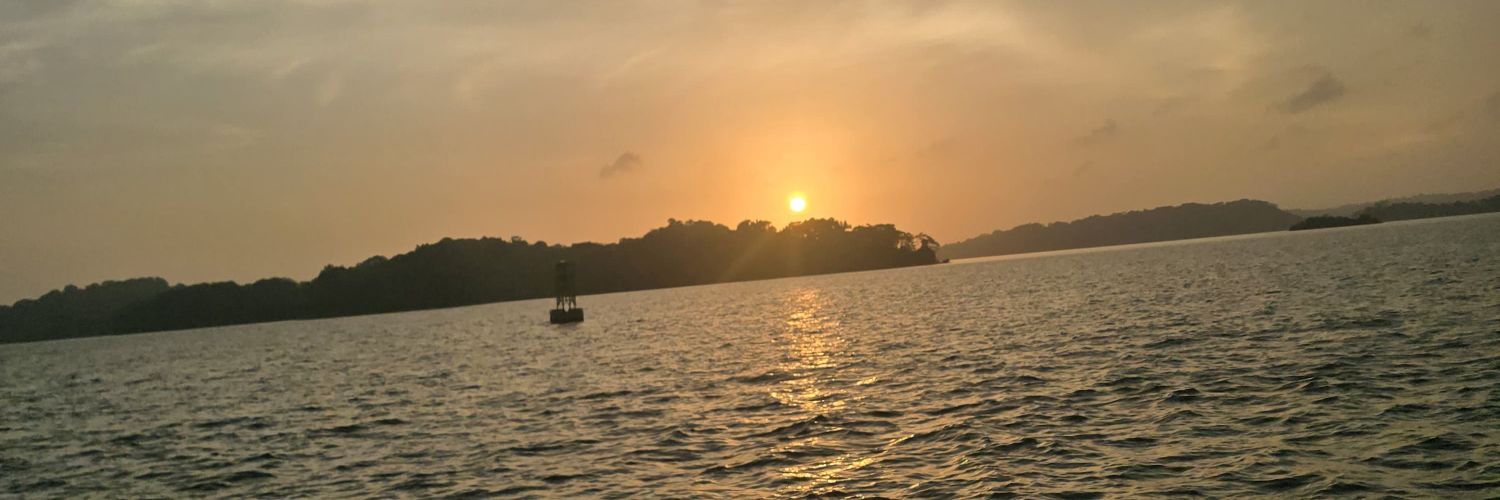 caroline_ejn's profile banner image