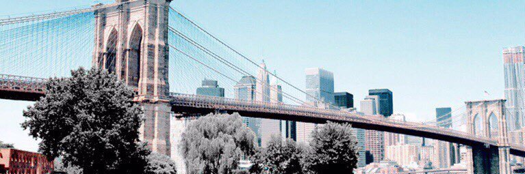 mccolich11's profile banner image