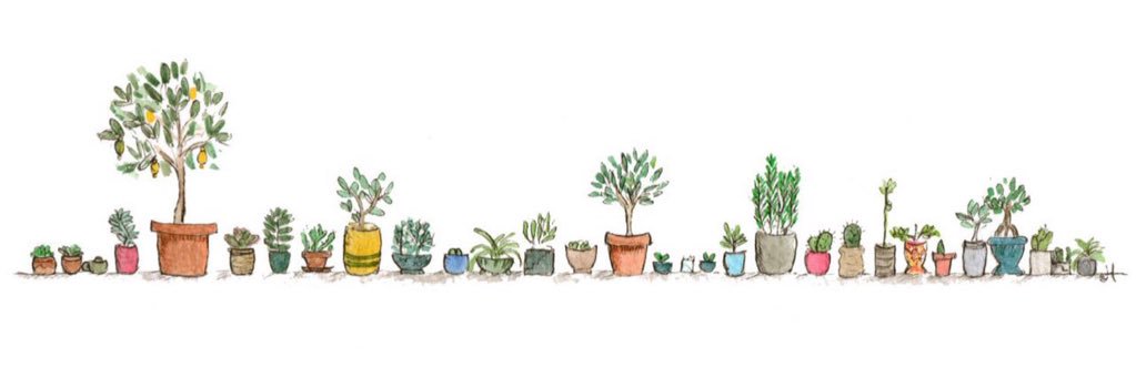 cmvilvm's profile banner image