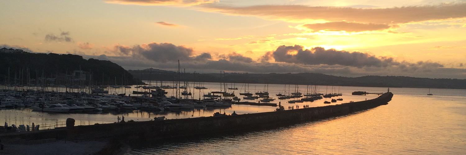 Matt-Kai McGillivray banner