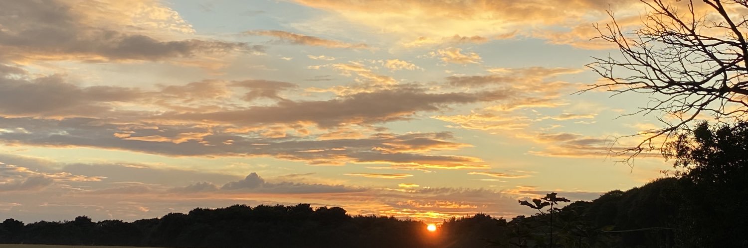 KindnessMel's profile banner image