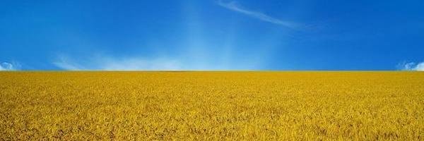 Max__RT's profile banner image