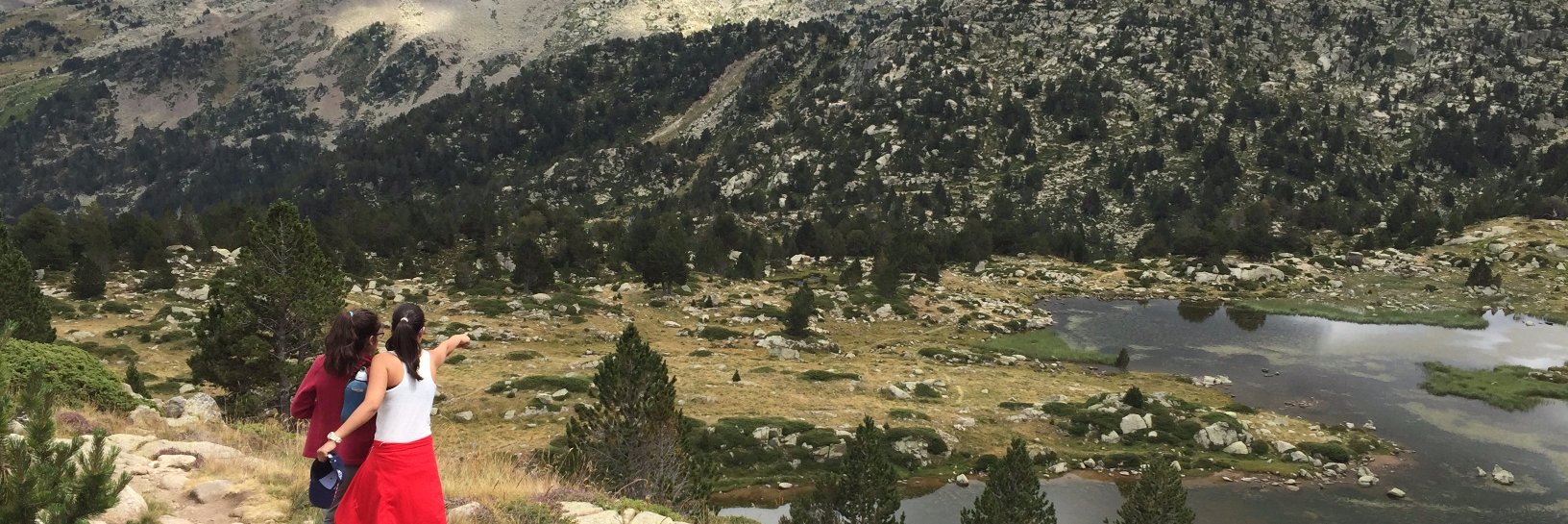 Josefina Suarez banner