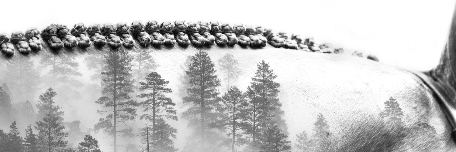 sitthecanter's profile banner image