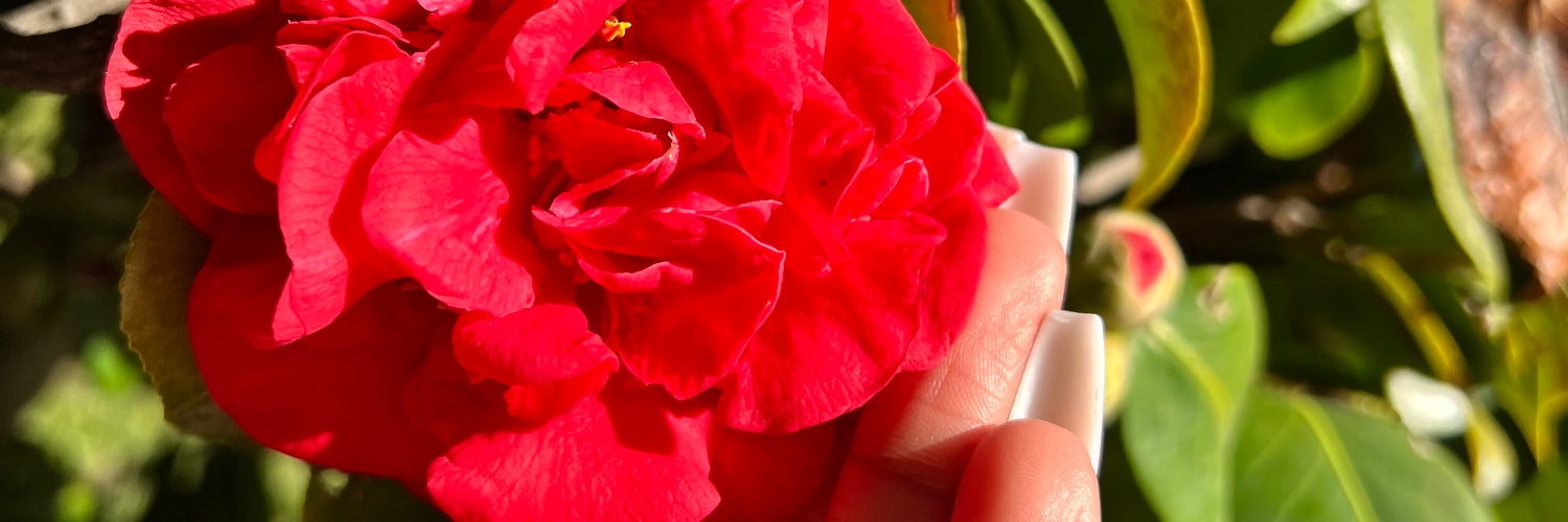 _Quoooia's profile banner image