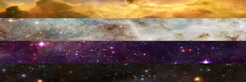 Elizabeth Lain banner