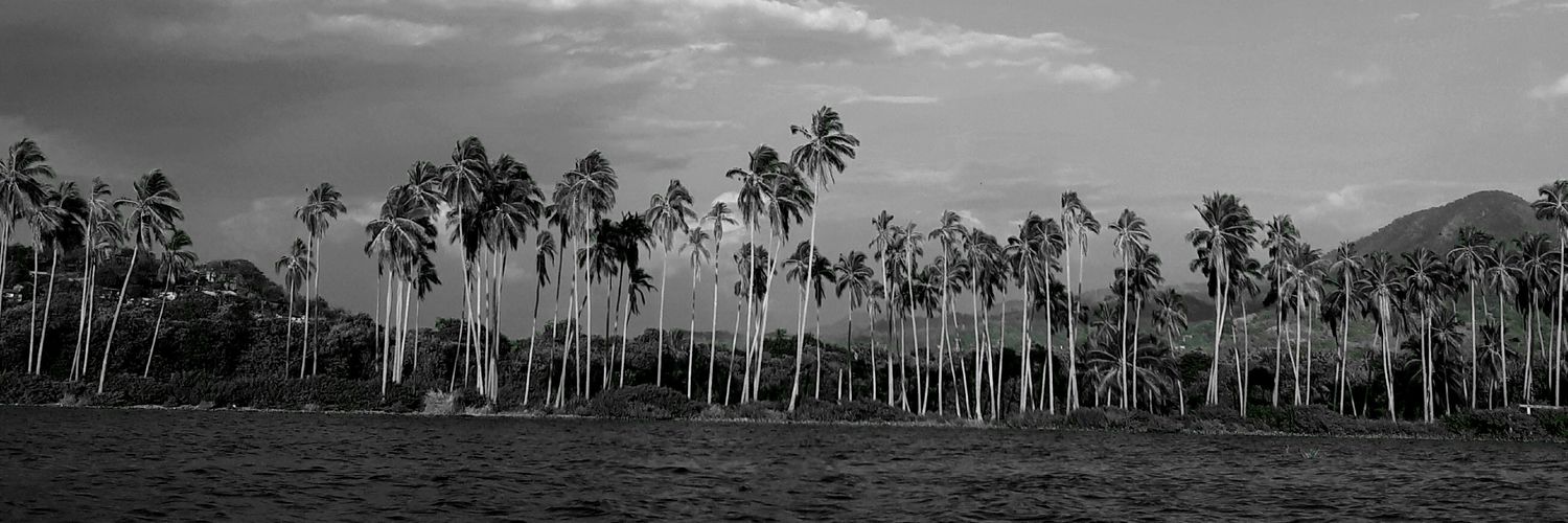 ivettearsan's profile banner image