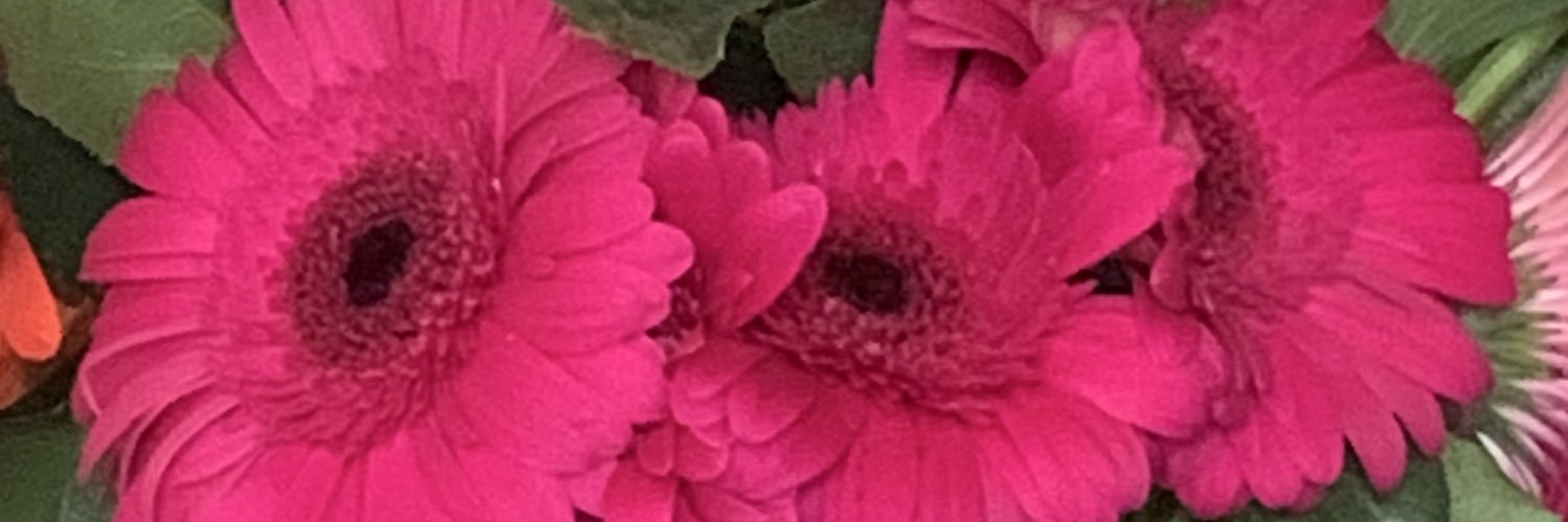 GreenTaylorSims's profile banner image