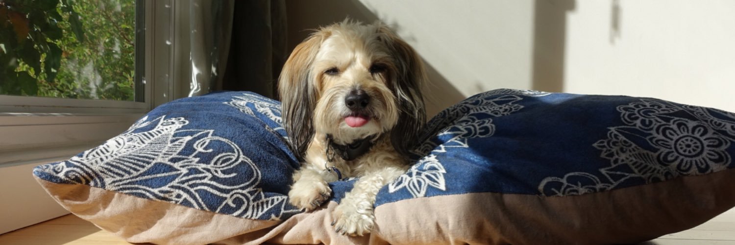 sullyburger's profile banner image
