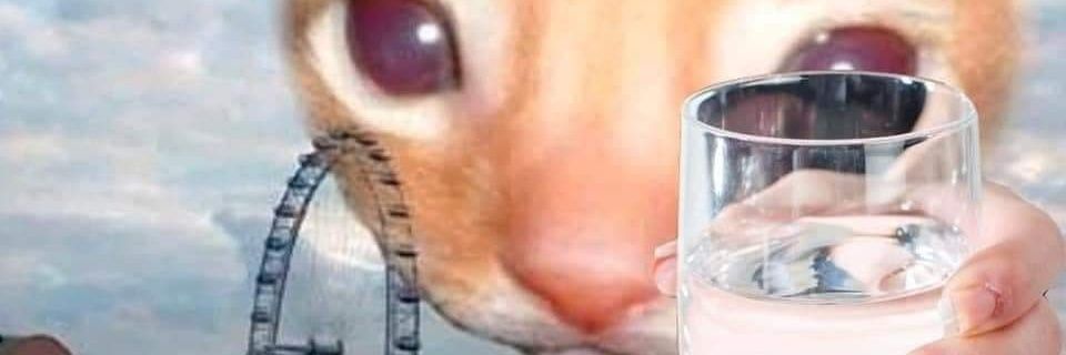 LuArnoud's profile banner image