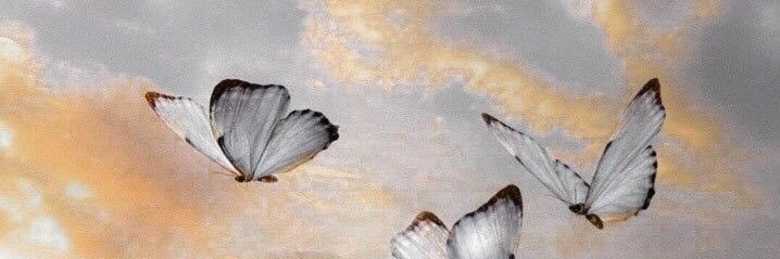 _Indefinida_'s profile banner image
