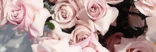 mixersversion's profile banner image
