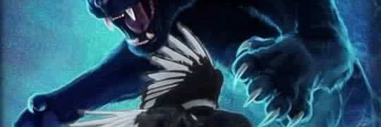 bchamp977's profile banner image