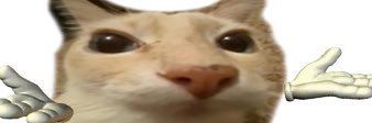 _luisapl's profile banner image