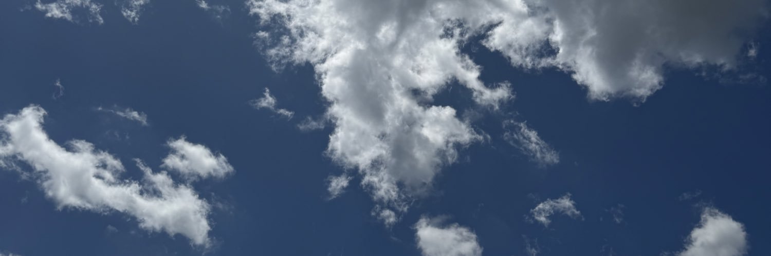 BellaTimberman's profile banner image