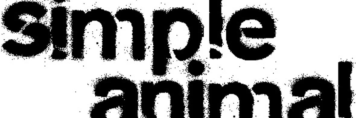 SimpleAnimalTs's profile banner image