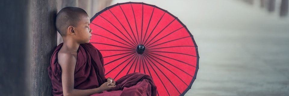 MariaLnappo's profile banner image