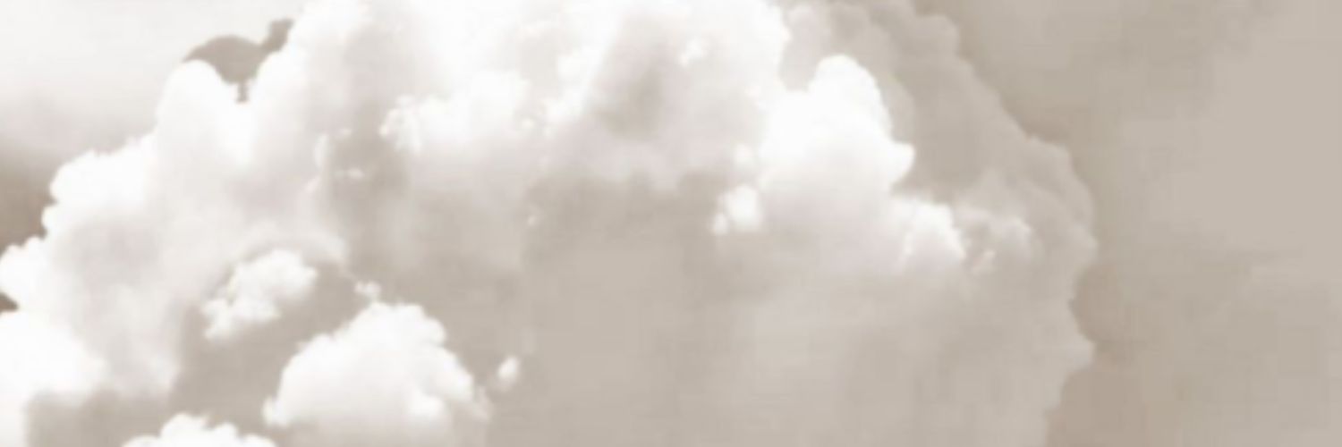 koalad0ra's profile banner image