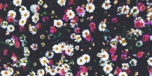 luminosaaaa's profile banner image